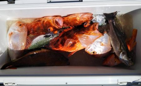 ジギング釣り果